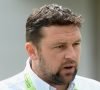 steve harmison