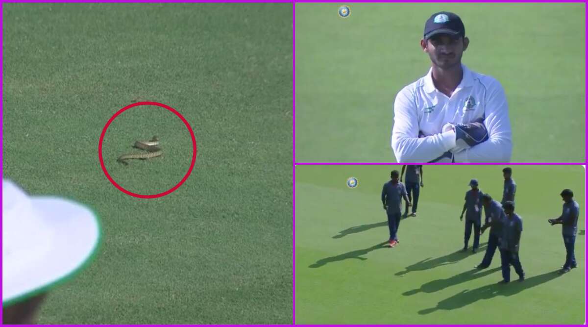 Snake spotted in Ranji Trophy