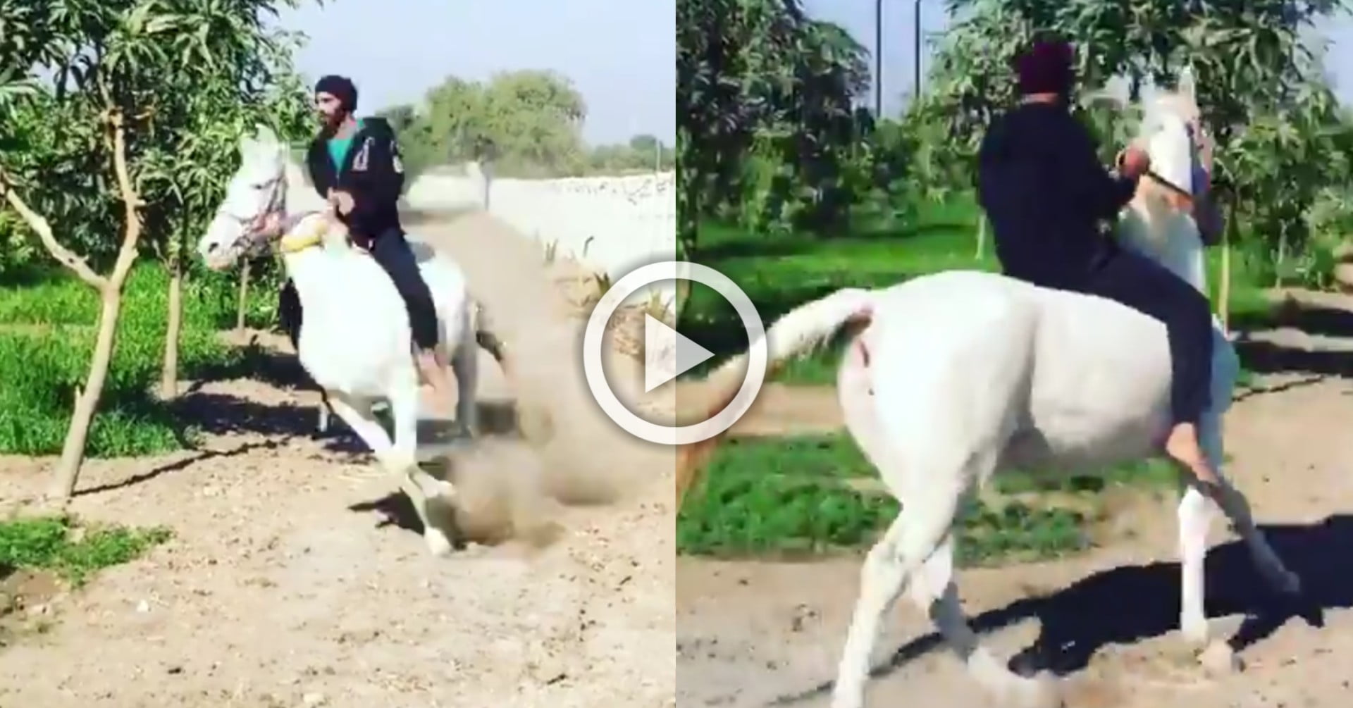 Hadeja Riders Ravindra Jadeja Flaunts His Horse Riding During Isolation