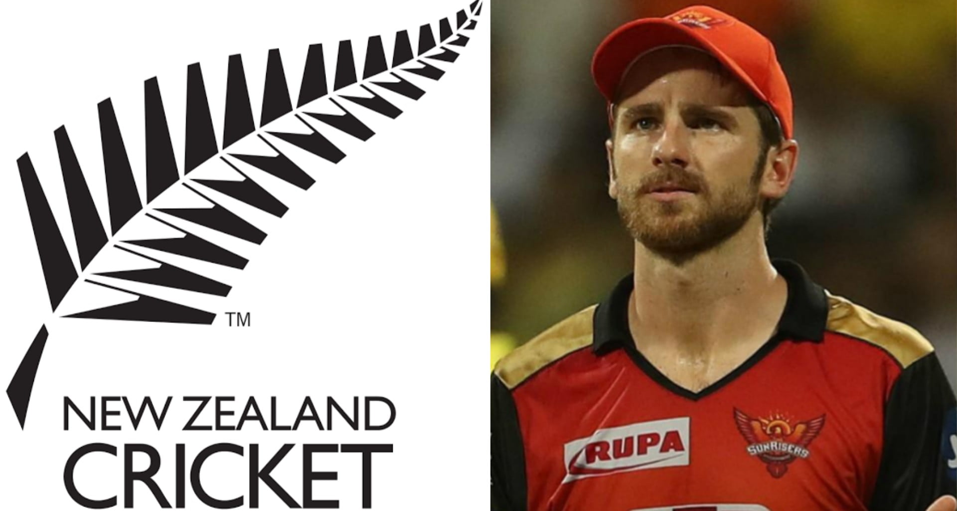 New Zealand Cricket Ready To Issue NOCs For IPL To Kiwi Players