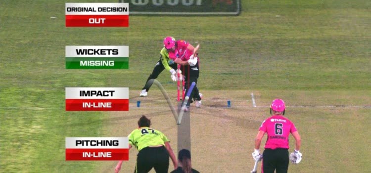 Ellyse Perry dismissal. (Image: Twitter)