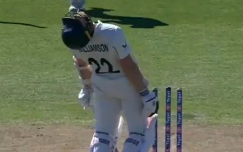 Kane Williamson