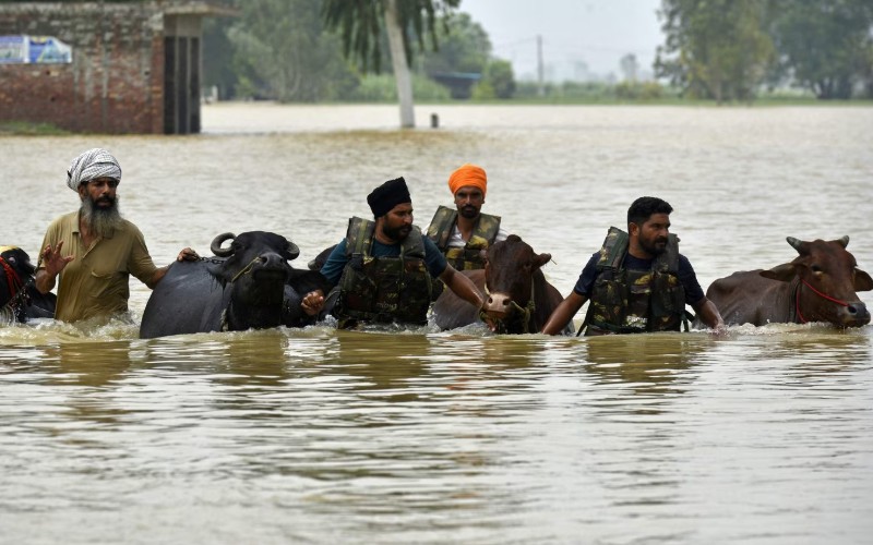 Punjab Floods