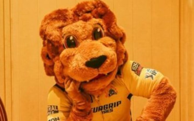 CSK Mascot