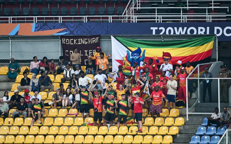 Zimbabwe fans