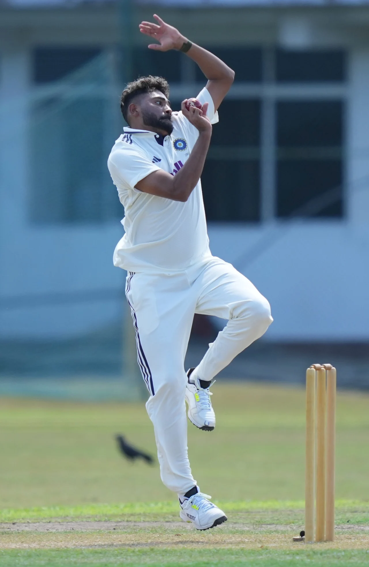 Mohammed Siraj