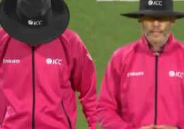 umpire